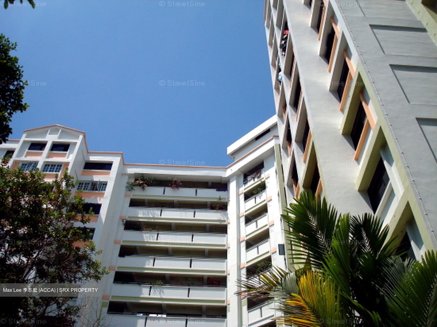 Blk 556 Woodlands Drive 53 (Woodlands), HDB 5 Rooms #558833201